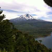 The snowy mountain tops in the distance in Conguillio National Park | Amity Tours