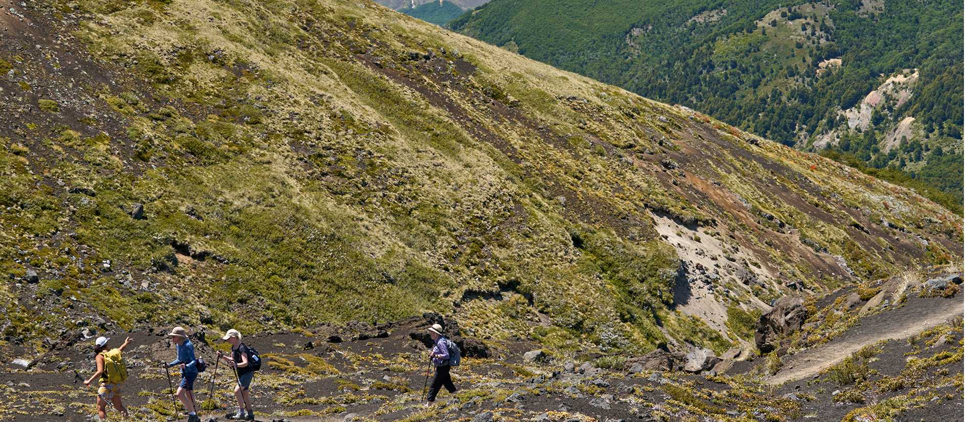 Trekking the rugged terrain of Pichillancahue Volcano in Villarrica National Park | Amity Tours