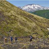 Trekking the rugged terrain of Pichillancahue Volcano in Villarrica National Park | Amity Tours