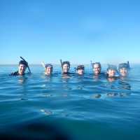 Happy students swimming with the whale sharks in Baja
