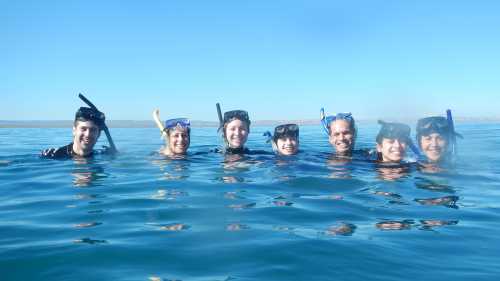 Happy students swimming with the whale sharks in Bajas