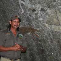 Indigenous guide explaining the rock art on a dreamtime walk | SWJ