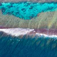 Students snorkel along Ningaloo Reef off the coast of Exmouth | Tourism Western Australia
