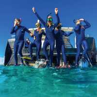 Students snorkelling off the coast of Exmouth, Ningaloo Reef | Tourism Western Australia