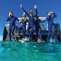 Students snorkelling off the coast of Exmouth, Ningaloo Reef | Tourism Western Australia