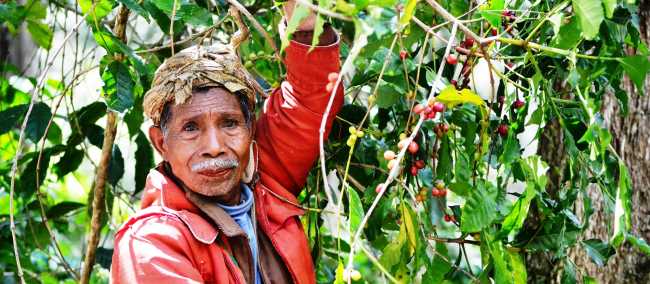 East Timor Adventure