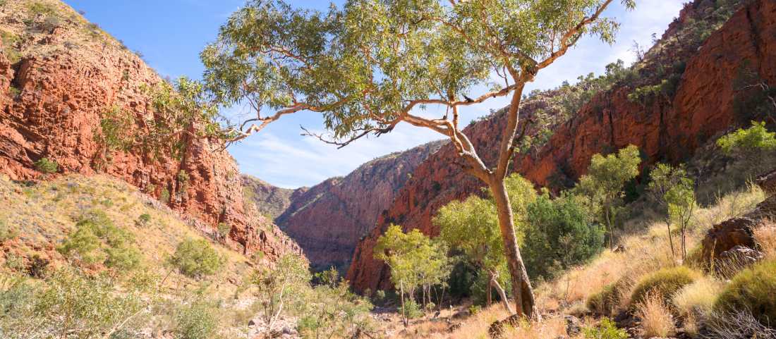 Beautiful outback scenery on the Larapinta Trail | Luke Tscharke